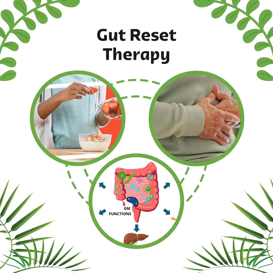 Gut Reset Therapy